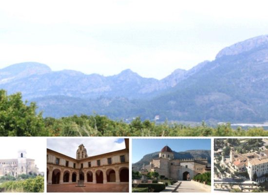 va-monst_viaverde va-monst_viaverde